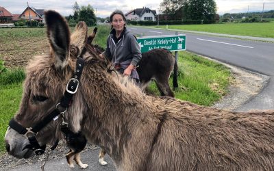 Eselwanderung – Tag 02, Arabellas Eindrücke