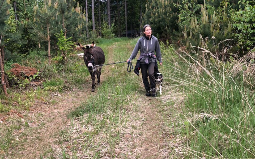 Eselwanderung – Tag 02, Ovids Eindrücke